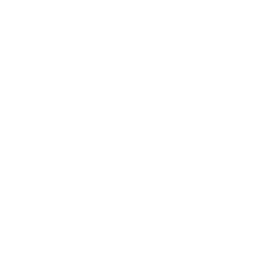 Painter & Decorator Swansea